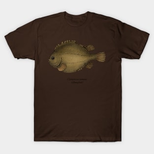 Cyclopterus lumpus T-Shirt